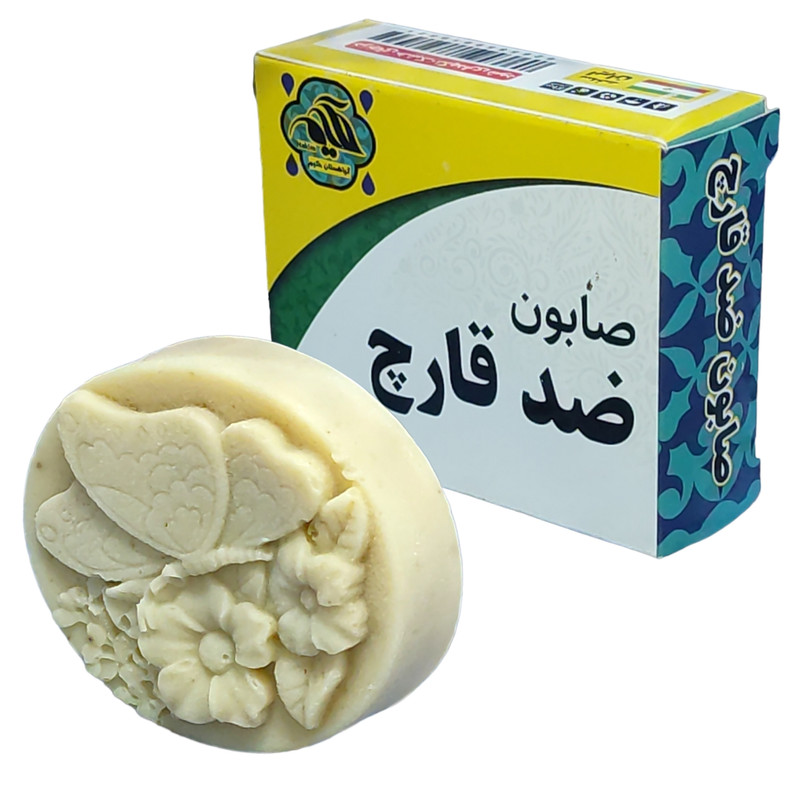 صابون شستشو گیاهستان حکیم مدل ضد قارچ وزن 70 گرم