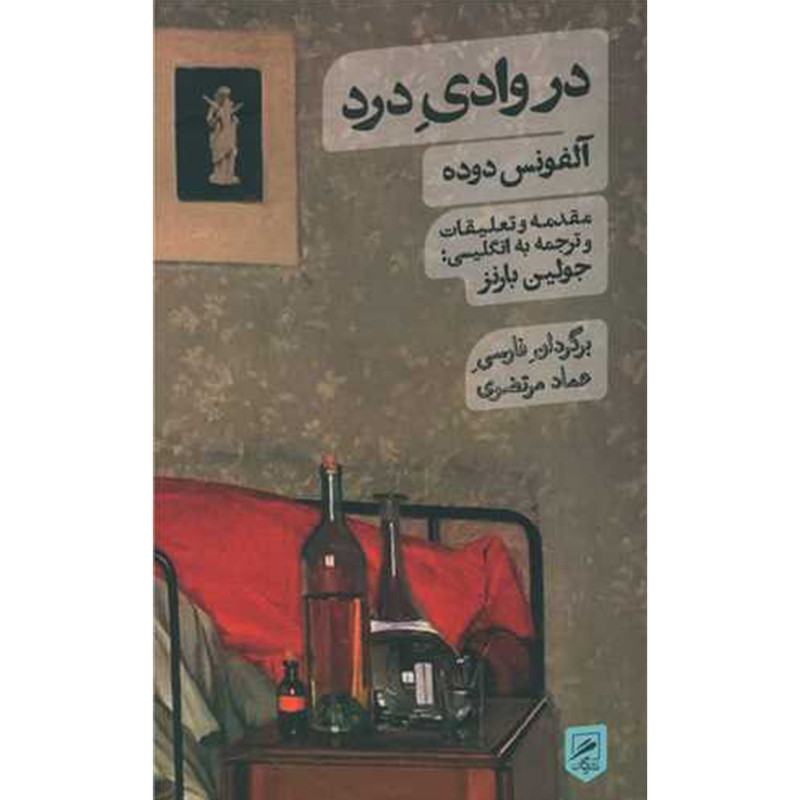 خرید و قیمت کتاب در وادی درد اثر آلفونس دوده نشر گمان