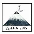 دستهبندی کتاب هنر و سرگرمی نشر شلفین
