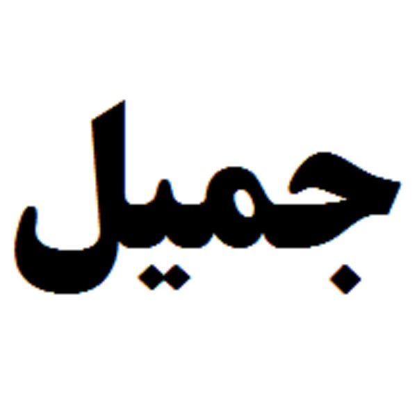 دستهبندی رنگ جمیل