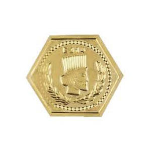 سکه و شمش طلا