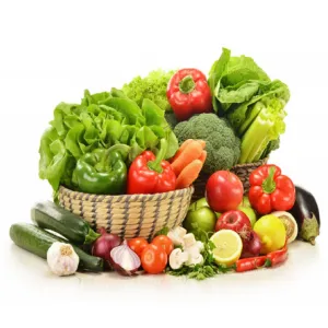 مواد غذایی ارگانیک