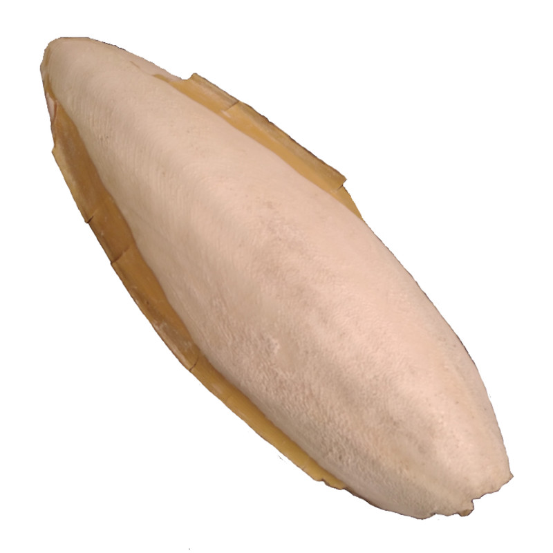 کف دریا کد M 160 وزن 160 گرم