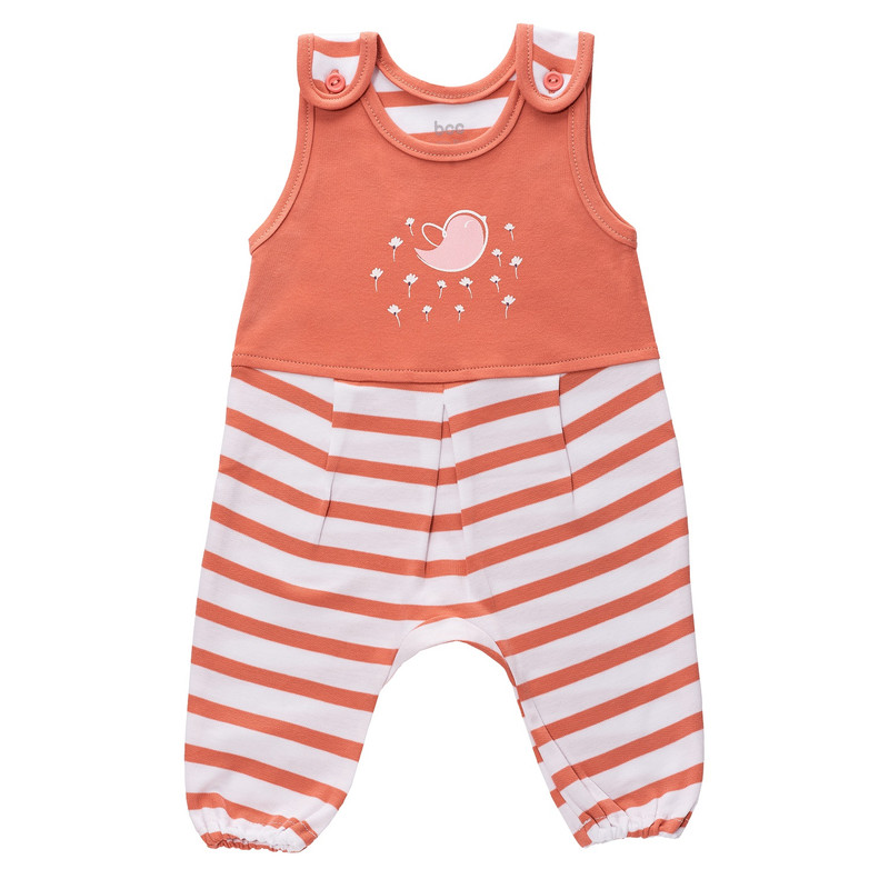 سرهمی نوزادی بی سی سی مدل Little bird