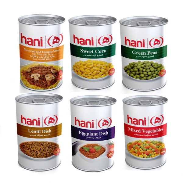 کنسرو هانی - 380 گرم بسته 6 عددی