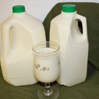 شیر پرچرب (5.5 درصد) گاو نژاد جرزی