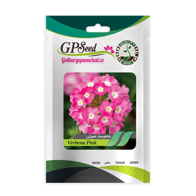 بذر گل شاه پسند صورتی جی پی سید مدل GP13292