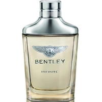 ادو پرفیوم مردانه بنتلی مدل اینفینیتی اینتنس Infinite Intense حجم 100 میلی لیتر | Bentley Infinite Intense Eau De Parfum For Men 100 ml