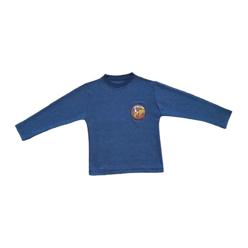 تی شرت آستین بلند پسرانه مدل D2