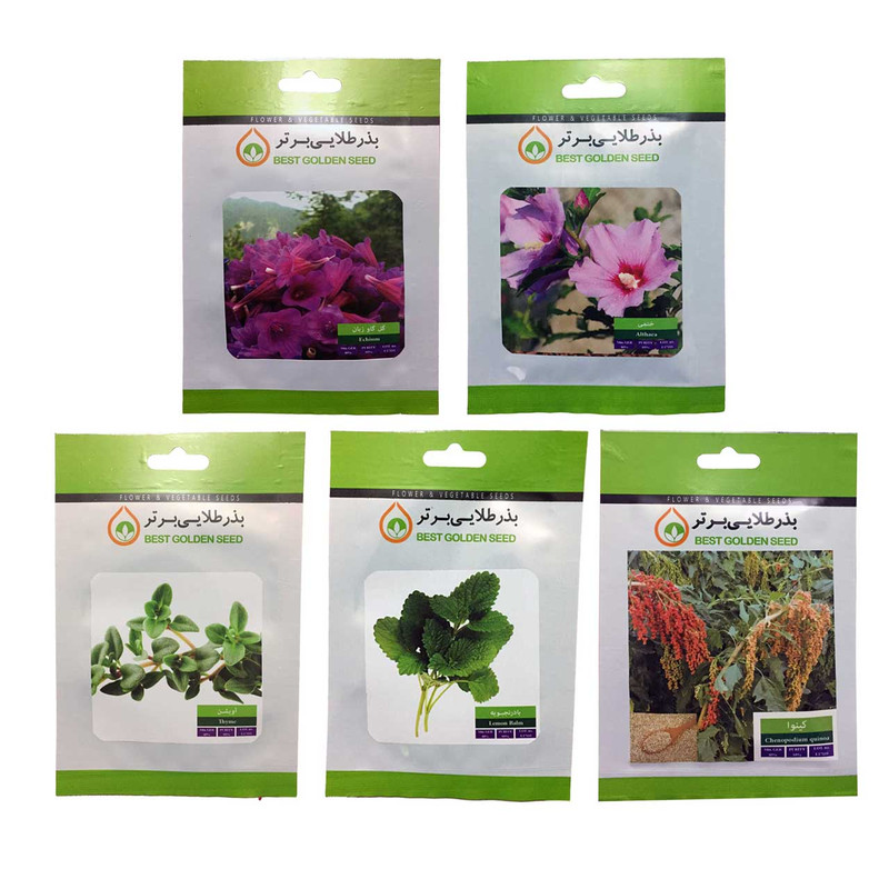 بذر گیاهان دارویی بذر طلایی برتر کد P-GD-BZT-05 مجموعه 5 عددی