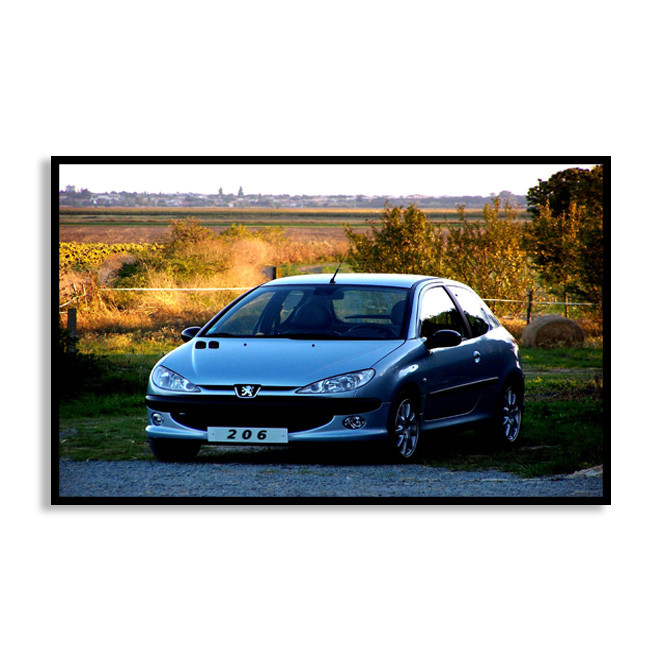 تابلو نوری بکلیت طرح ماشین پژو206 مدل B-D1024