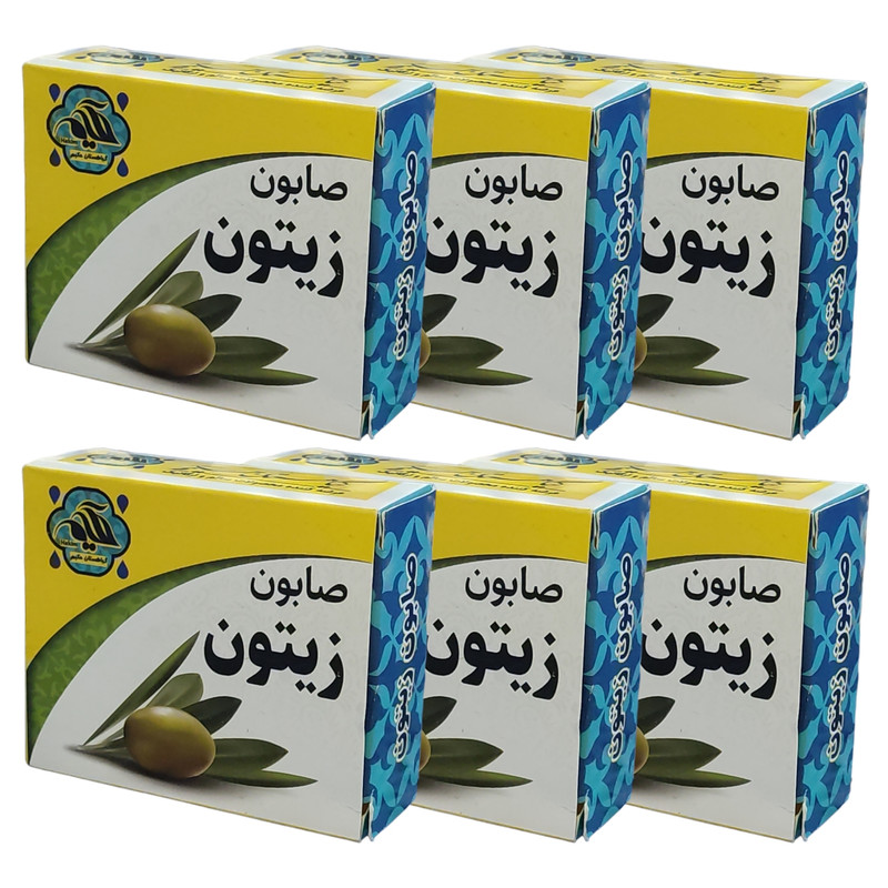 صابون شستشو گیاهستان حکیم مدل زیتون وزن 70 گرم بسته شش عددی