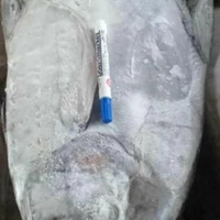 ماهی حلوا (گیش) ارسال رایگان
