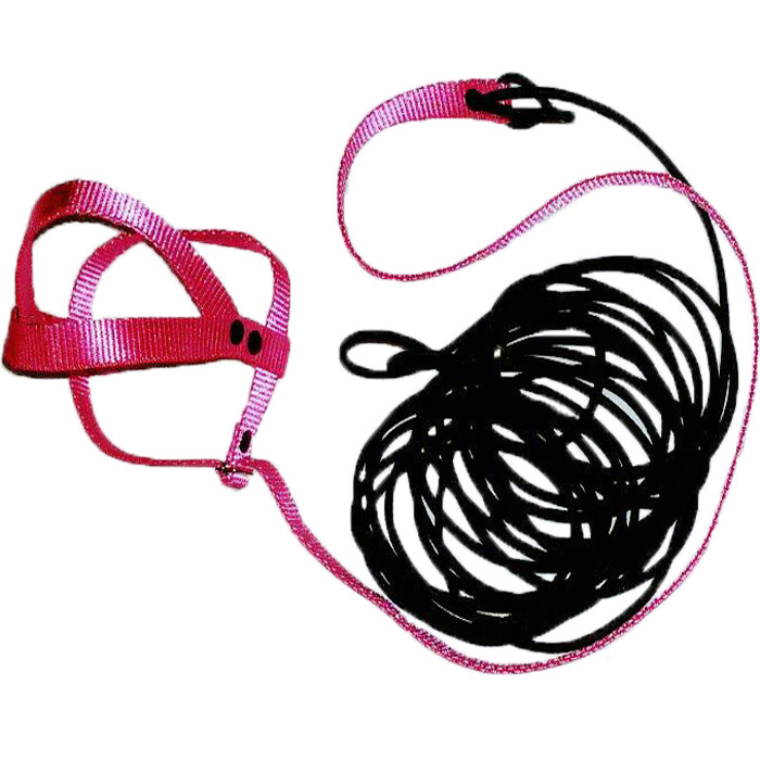 جلیقه پرواز harness مخصوص شاه طوطی