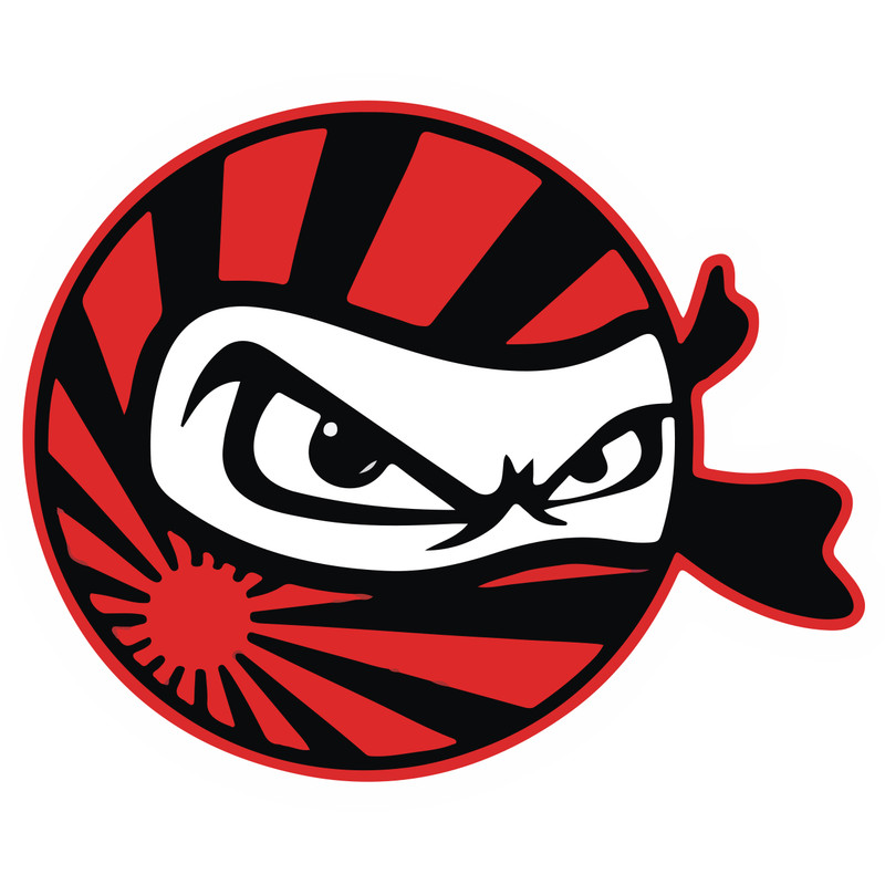 استیکر خودرو طرح نینجا کد 1381