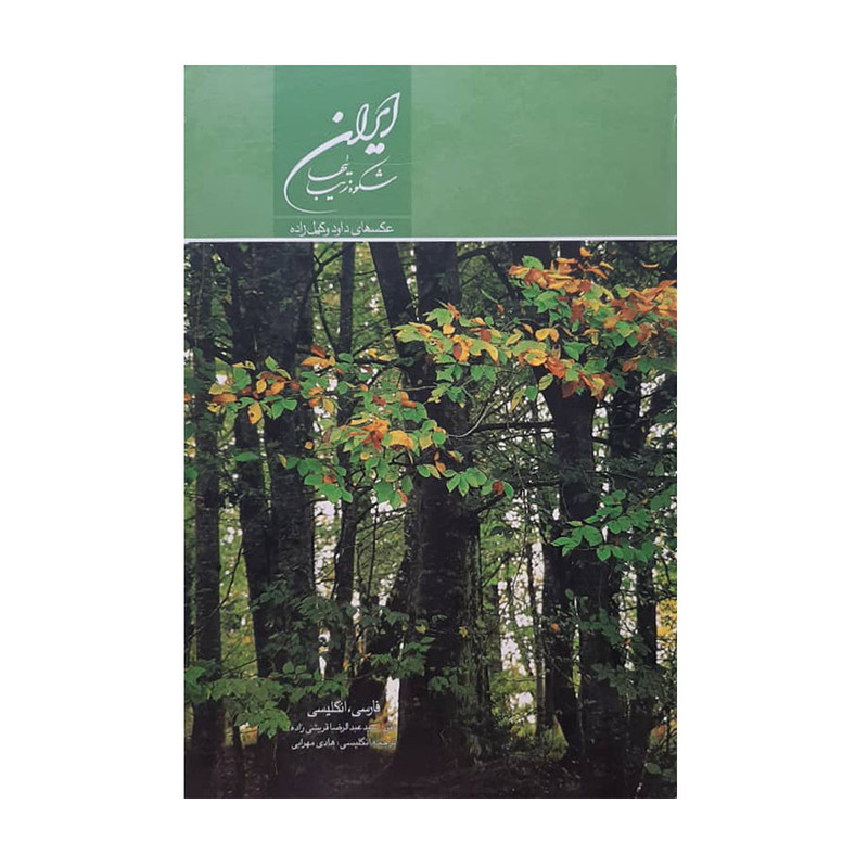 کتاب ایران شکوه زیبائیها اثر سید عبدالرضا قریشی زاده انتشارات میردشتی