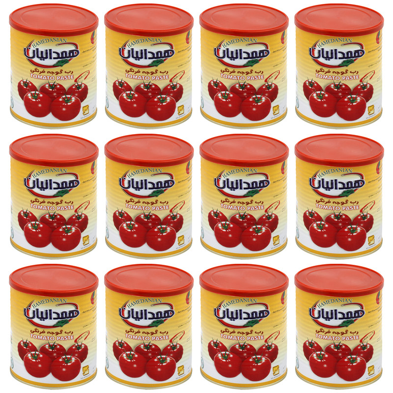 رب گوجه فرنگی همدانیان - 800 گرم بسته 12 عددی