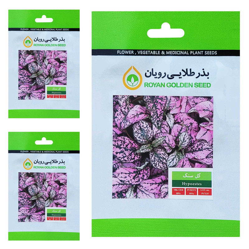 بذر گل سنگ بذر طلایی رویان کد BZT-156 مجموعه 3 عددی