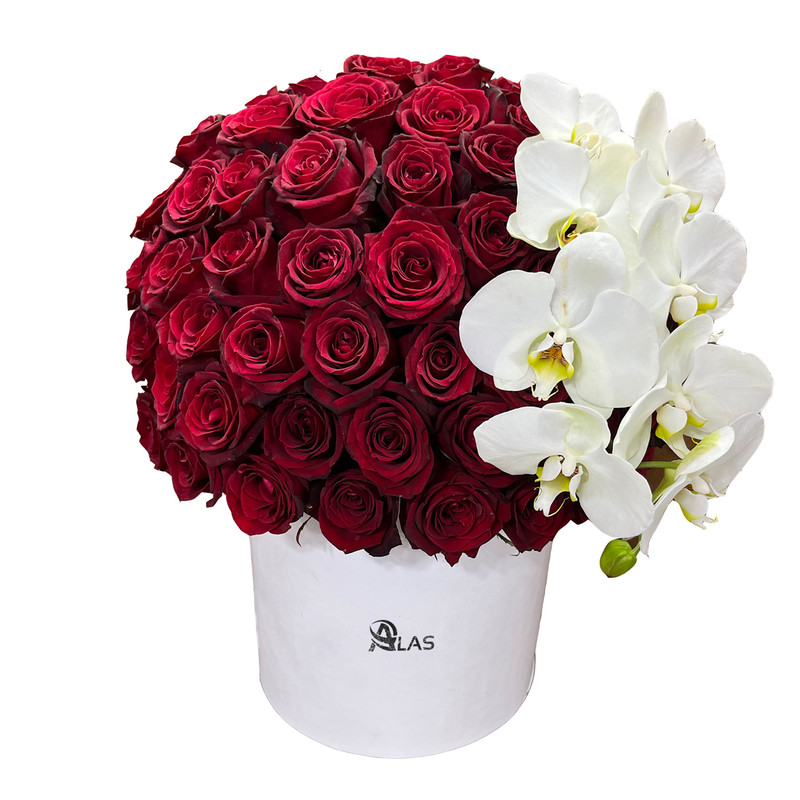 باکس گل آلاس مدل B313