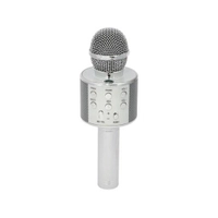 میکروفون اسپیکر دار پرو وان (ProOne) مدل Pbm01